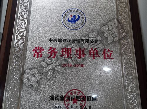 河南省建設(shè)監(jiān)理協(xié)會(huì)常務(wù)理事單位